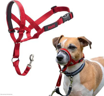 Training Collar